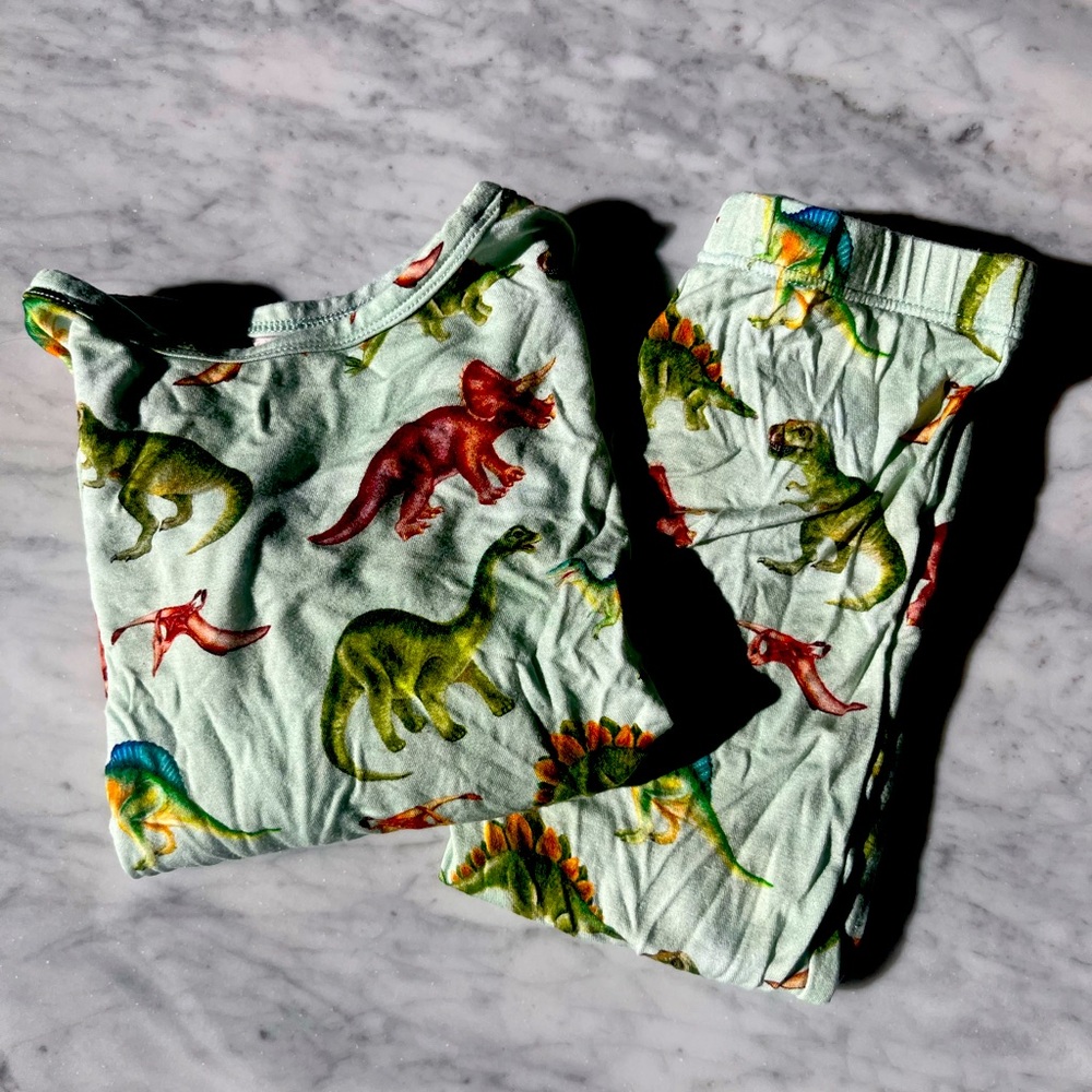 Posh Peanut Boys Dinosaur PJs!